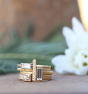 The Chief Financial Officer