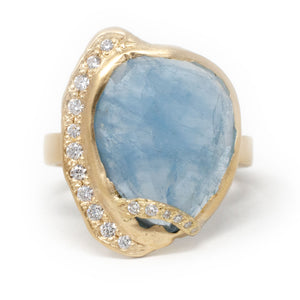 Aqua Pool Ring